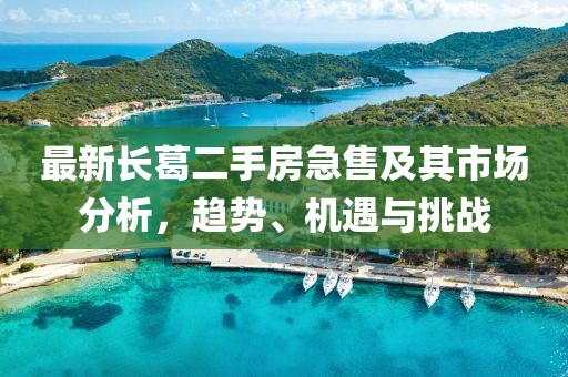 最新長葛二手房急售及其市場(chǎng)分析，趨勢(shì)、機(jī)遇與挑戰(zhàn)