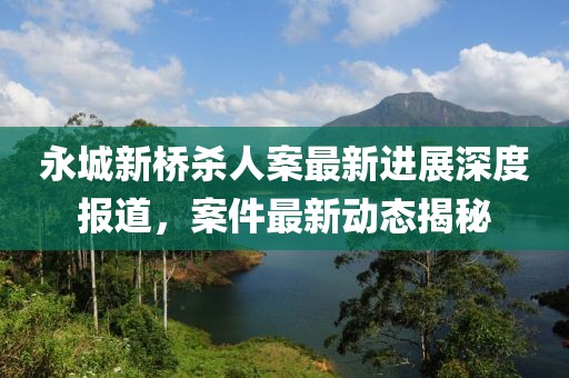 永城新橋殺人案最新進展深度報道，案件最新動態(tài)揭秘