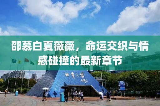 邵慕白夏薇薇，命運(yùn)交織與情感碰撞的最新章節(jié)