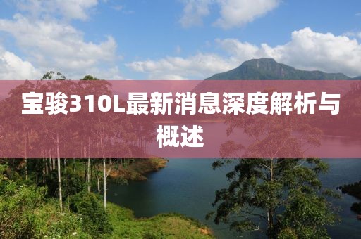 寶駿310L最新消息深度解析與概述