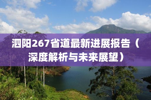 泗陽(yáng)267省道最新進(jìn)展報(bào)告（深度解析與未來(lái)展望）