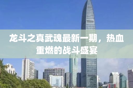 龍斗之真武魂最新一期，熱血重燃的戰(zhàn)斗盛宴