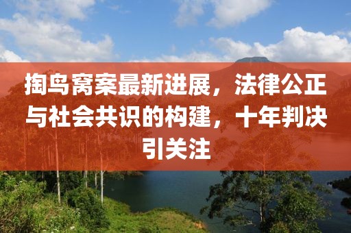 掏鳥窩案最新進展，法律公正與社會共識的構(gòu)建，十年判決引關(guān)注