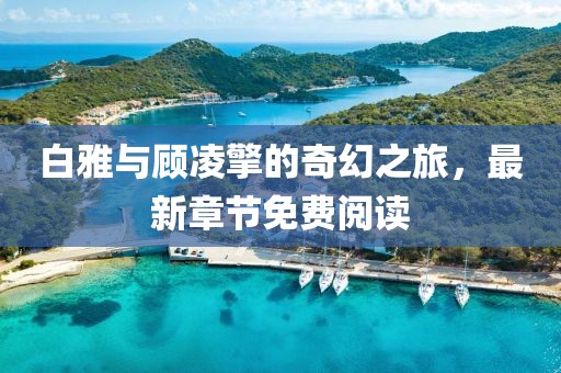 白雅與顧凌擎的奇幻之旅，最新章節(jié)免費閱讀