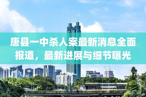 唐縣一中殺人案最新消息全面報(bào)道，最新進(jìn)展與細(xì)節(jié)曝光