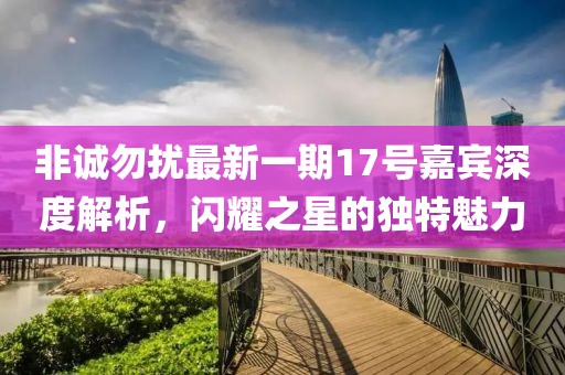 非誠勿擾最新一期17號嘉賓深度解析，閃耀之星的獨特魅力