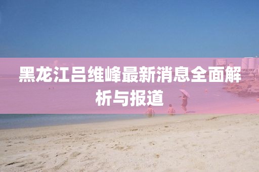 黑龍江呂維峰最新消息全面解析與報(bào)道