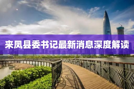 來鳳縣委書記最新消息深度解讀