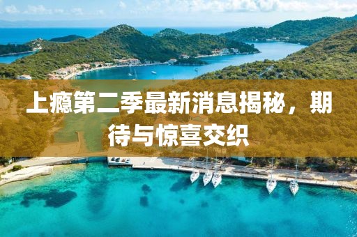 上癮第二季最新消息揭秘，期待與驚喜交織