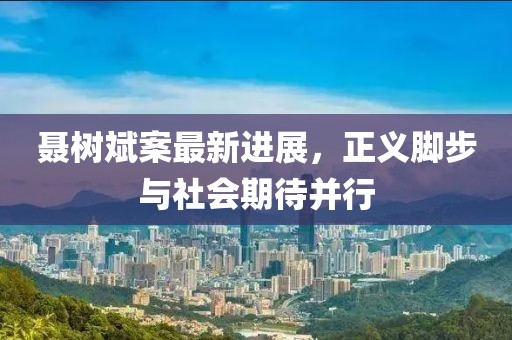 聶樹斌案最新進(jìn)展，正義腳步與社會(huì)期待并行