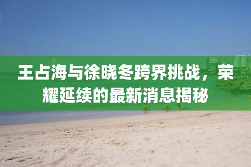 王占海與徐曉冬跨界挑戰(zhàn)，榮耀延續(xù)的最新消息揭秘