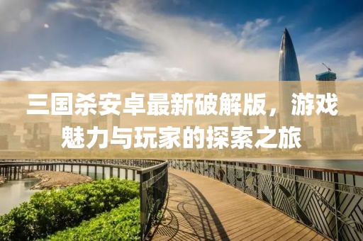 三國殺安卓最新破解版，游戲魅力與玩家的探索之旅