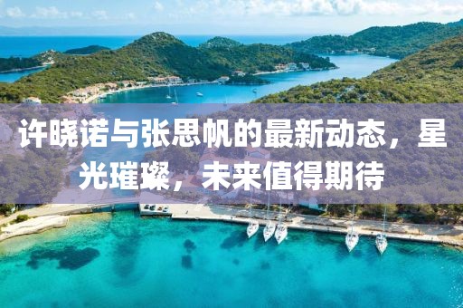 許曉諾與張思帆的最新動(dòng)態(tài)，星光璀璨，未來(lái)值得期待