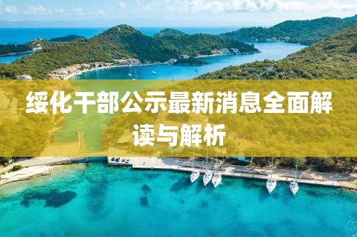 綏化干部公示最新消息全面解讀與解析