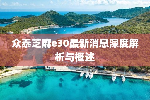 眾泰芝麻e30最新消息深度解析與概述