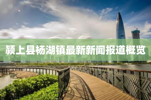 潁上縣楊湖鎮(zhèn)最新新聞報(bào)道概覽