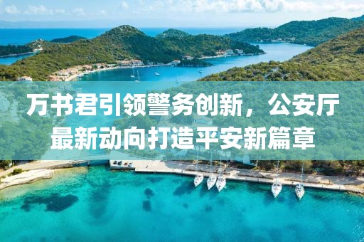 萬(wàn)書(shū)君引領(lǐng)警務(wù)創(chuàng)新，公安廳最新動(dòng)向打造平安新篇章