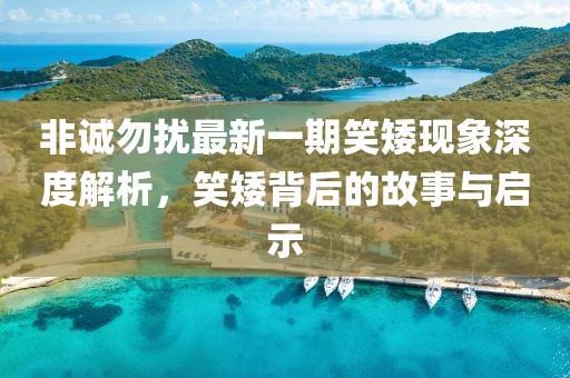 非誠勿擾最新一期笑矮現(xiàn)象深度解析，笑矮背后的故事與啟示
