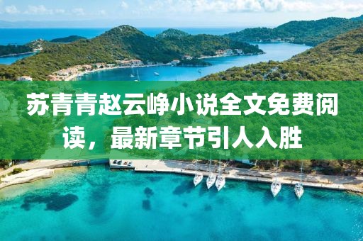 蘇青青趙云崢小說全文免費閱讀，最新章節(jié)引人入勝