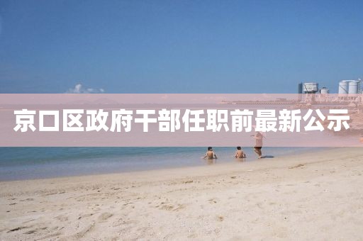 京口區(qū)政府干部任職前最新公示
