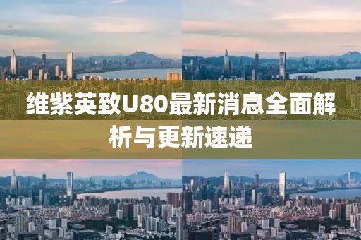 維紫英致U80最新消息全面解析與更新速遞