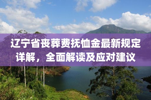 遼寧省喪葬費(fèi)撫恤金最新規(guī)定詳解，全面解讀及應(yīng)對(duì)建議
