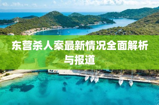 東營殺人案最新情況全面解析與報道