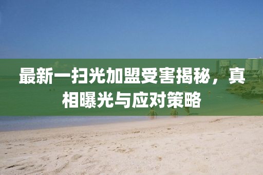 最新一掃光加盟受害揭秘，真相曝光與應(yīng)對策略