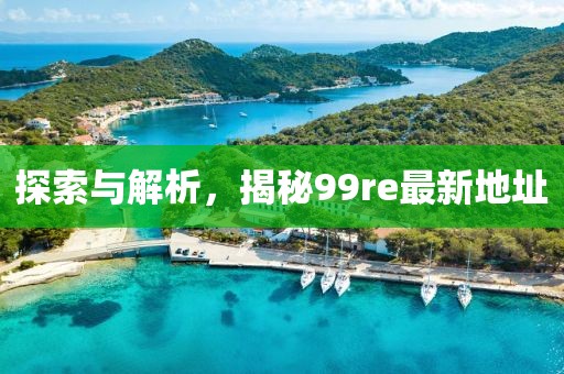 探索與解析，揭秘99re最新地址