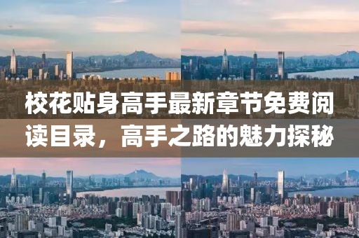 校花貼身高手最新章節(jié)免費(fèi)閱讀目錄，高手之路的魅力探秘