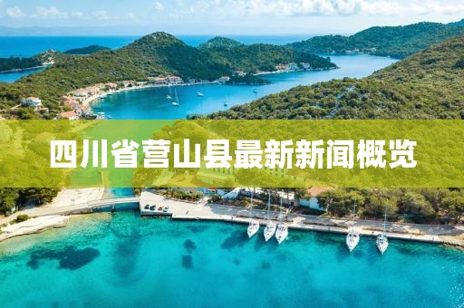 四川省營山縣最新新聞概覽