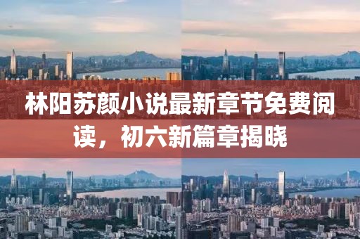 林陽蘇顏小說最新章節(jié)免費(fèi)閱讀，初六新篇章揭曉