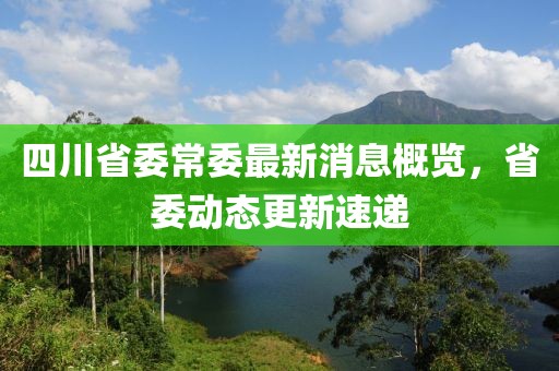 四川省委常委最新消息概覽，省委動(dòng)態(tài)更新速遞