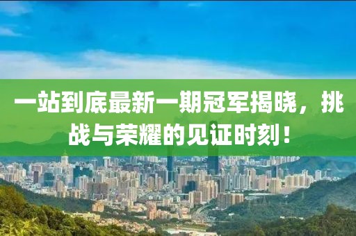 一站到底最新一期冠軍揭曉，挑戰(zhàn)與榮耀的見證時刻！