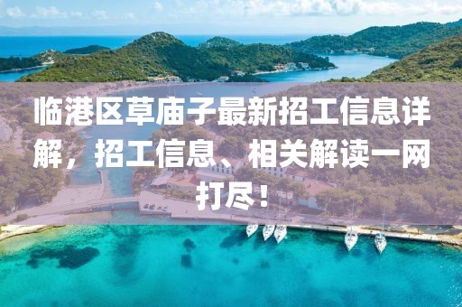臨港區(qū)草廟子最新招工信息詳解，招工信息、相關解讀一網打盡！