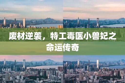 廢材逆襲，特工毒醫(yī)小獸妃之命運(yùn)傳奇