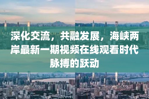 深化交流，共融發(fā)展，海峽兩岸最新一期視頻在線觀看時代脈搏的躍動