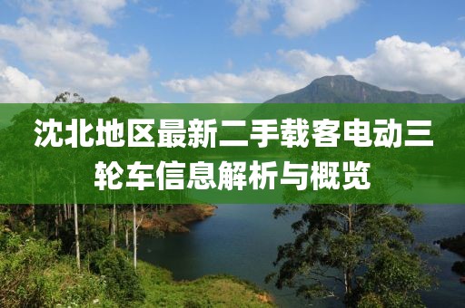沈北地區(qū)最新二手載客電動三輪車信息解析與概覽