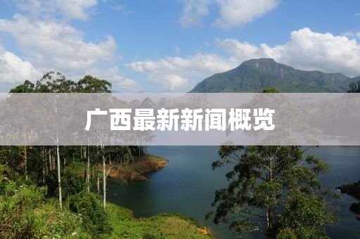 廣西最新新聞概覽