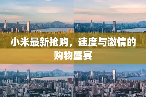 小米最新?lián)屬?，速度與激情的購物盛宴