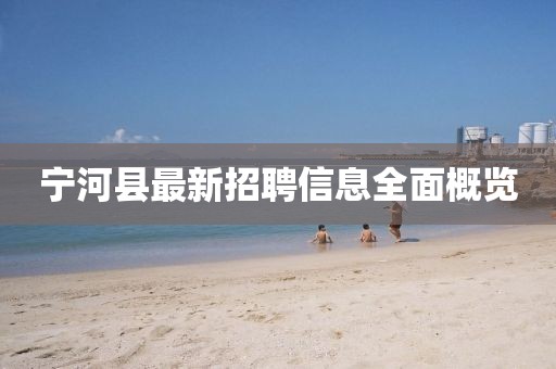 寧河縣最新招聘信息全面概覽