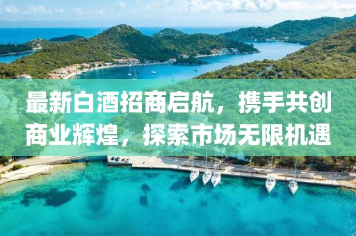 最新白酒招商啟航，攜手共創(chuàng)商業(yè)輝煌，探索市場無限機遇