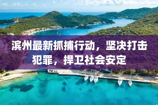 濱州最新抓捕行動(dòng)，堅(jiān)決打擊犯罪，捍衛(wèi)社會(huì)安定