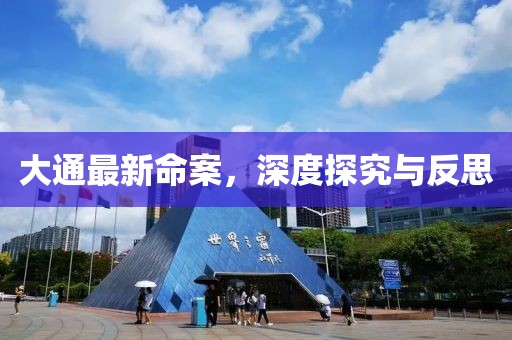 大通最新命案，深度探究與反思