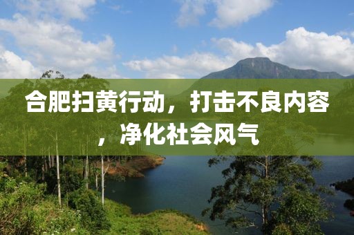 合肥掃黃行動(dòng)，打擊不良內(nèi)容，凈化社會(huì)風(fēng)氣
