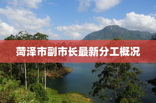 菏澤市副市長最新分工概況