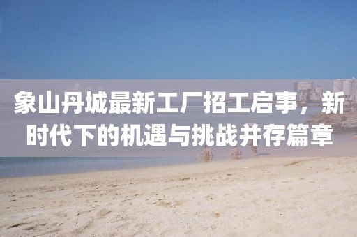 象山丹城最新工廠招工啟事，新時(shí)代下的機(jī)遇與挑戰(zhàn)并存篇章