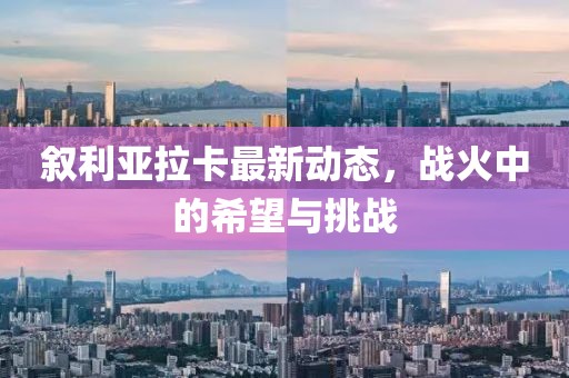 敘利亞拉卡最新動(dòng)態(tài)，戰(zhàn)火中的希望與挑戰(zhàn)