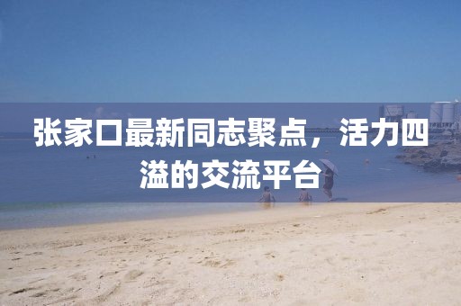 張家口最新同志聚點(diǎn)，活力四溢的交流平臺(tái)