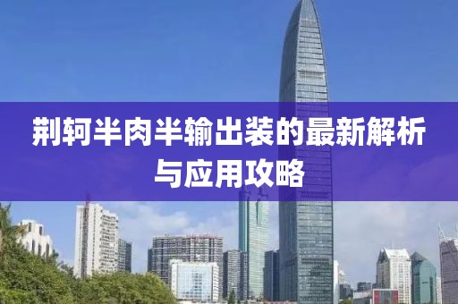 荊軻半肉半輸出裝的最新解析與應(yīng)用攻略